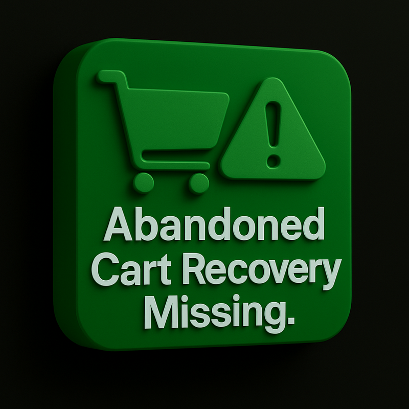 Abandoned Cart Recovery Missing.